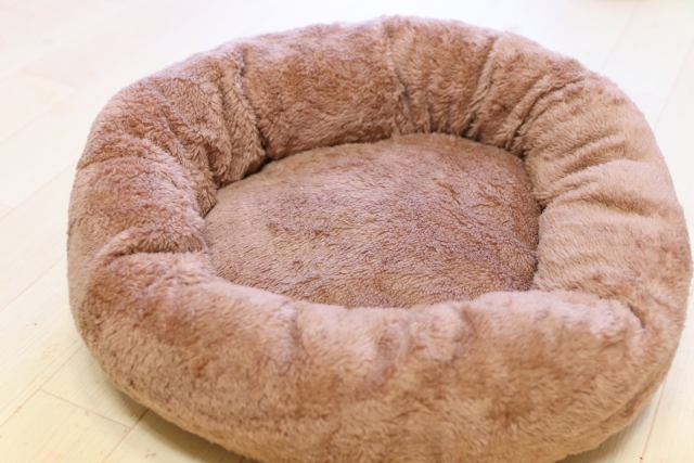 犬用ベッドの洗い方！洗濯する頻度や正しいお手入れの方法を解説