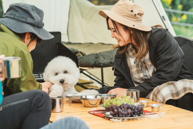 愛犬との旅行を楽しむ家族