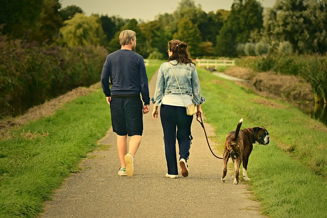 愛犬との散歩に適した時間帯はいつ？朝・夕・夜のメリットと注意点