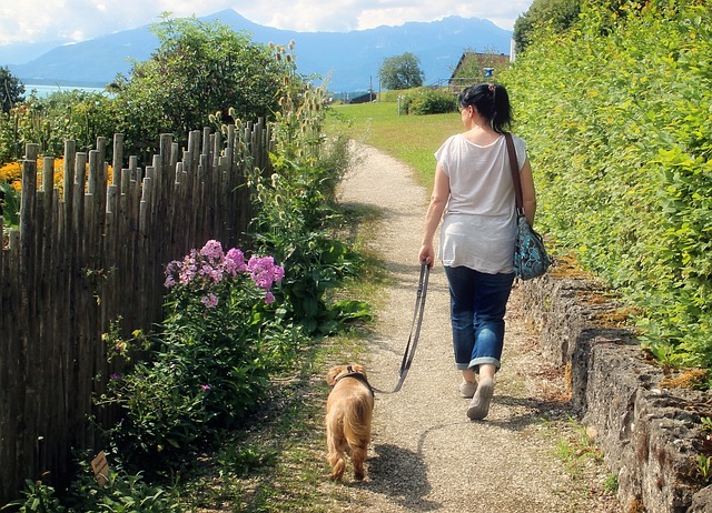 ショルダーバッグに持ち物を入れて犬の散歩をする女性