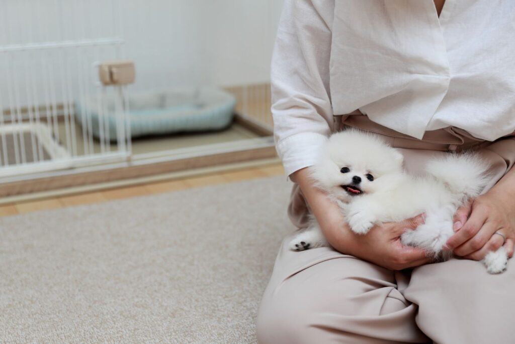 愛犬の寒さ対策を検討しているケージ